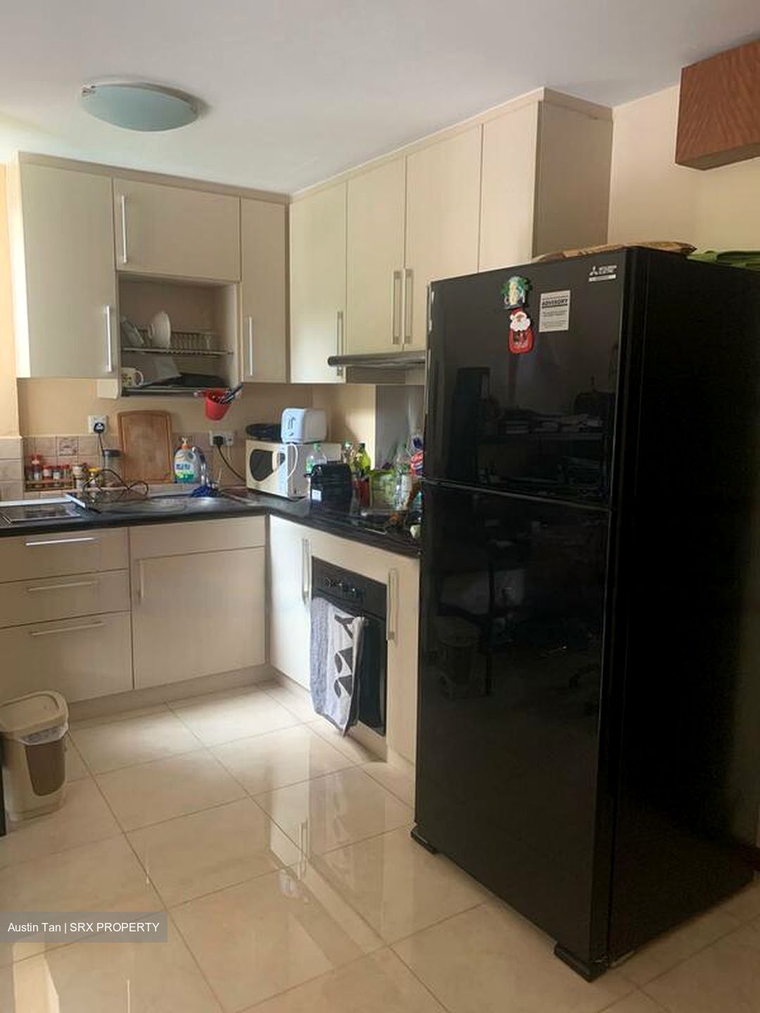 Sommerville Park (D10), Condominium #483756431